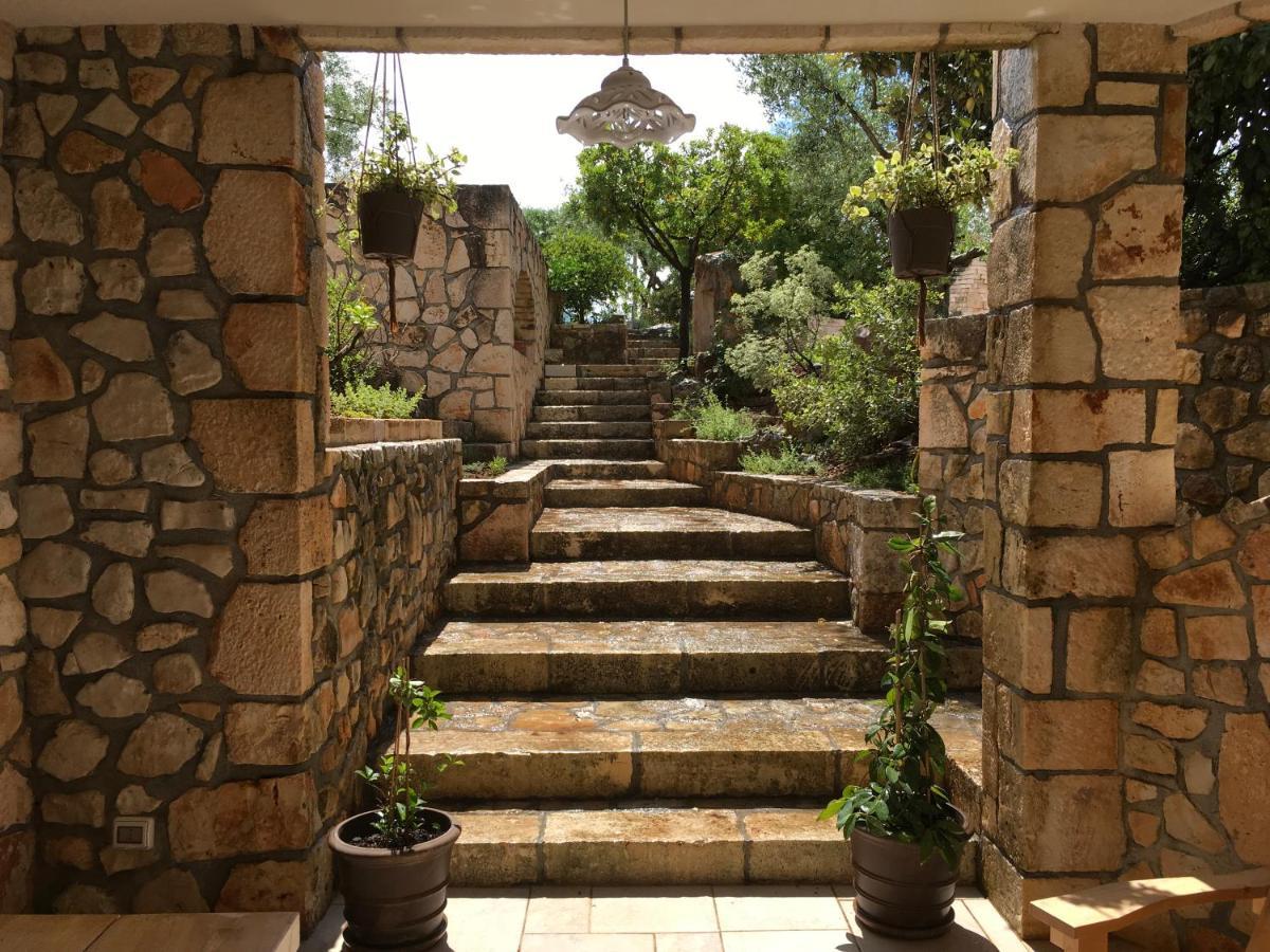 Casa Zucchetta Bed & Breakfast Locorotondo Dış mekan fotoğraf